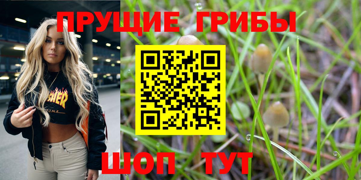 Качканар  Псилоцибиновые грибы мицелий  Галлюциногенные грибы прущие грибы  Вход с VPN 